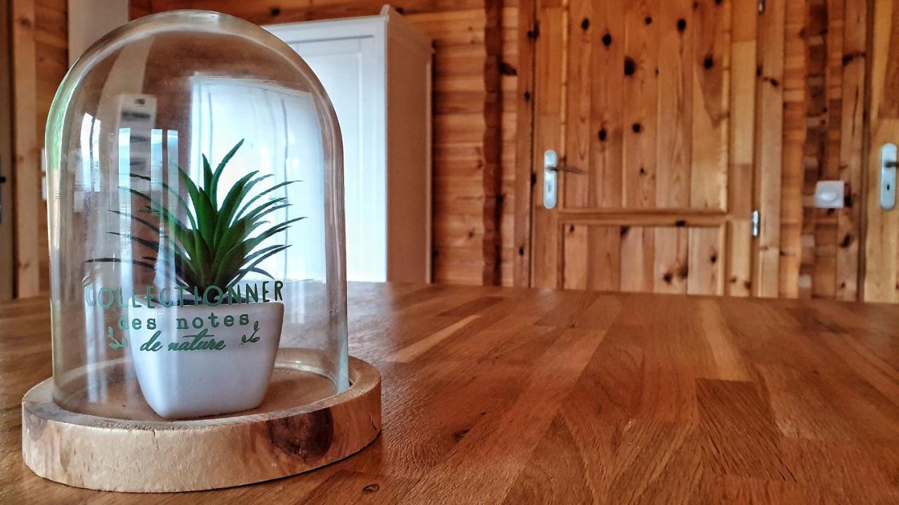 Le Chalet Jacuzzi Et Detente 4 Etoiles Bagnères-de-Bigorre Kültér fotó